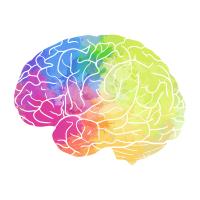 Rainbow Watercolor Brain